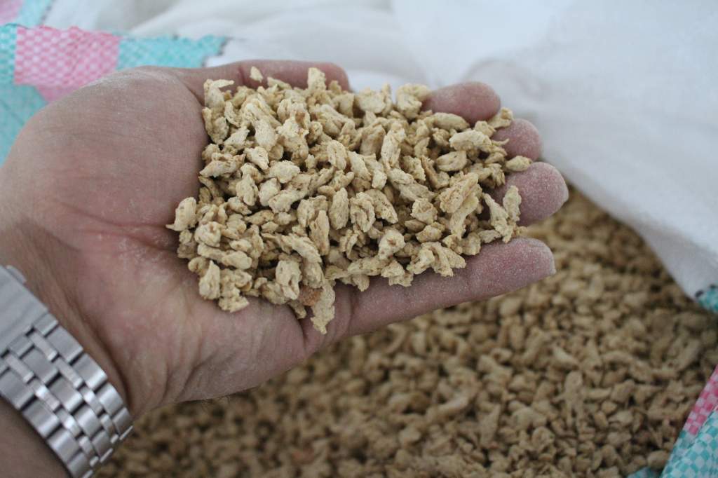 سویا پروتئینی + عمده